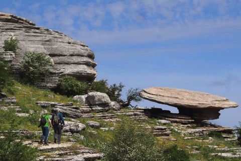 Z Granady: Lobo Parque i Torcal de Antequera, wycieczka przygodowaZ Granady: Lobo Parque i Torcal of Antequera