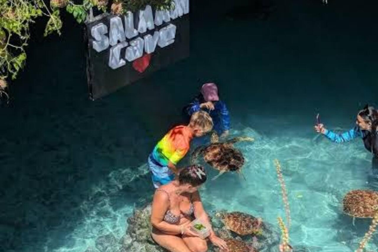 Mnemba Island , Snorkeling & Salaam cave with Expert guide Mnemba Island trip, Snorkeling with Expert local guide