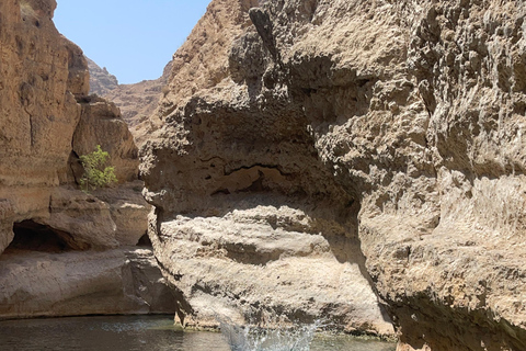 Muscat: Ganztagestour durch das Wadi Shab mit Abholung vom Hotel