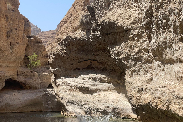 Muscat: Wadi Shab dagvullende tour met ophaalservice vanaf je hotel