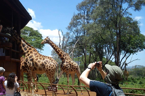 Visite guidée du parc national de Nairobi et du centre des girafes