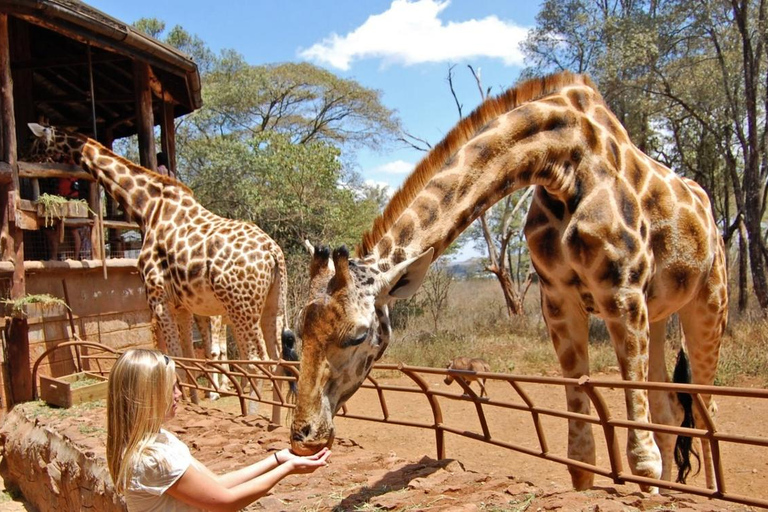 Guidad rundtur i Nairobi nationalpark och Giraffcenter