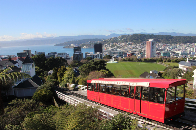 Discover Wellington - 3hr City Tour