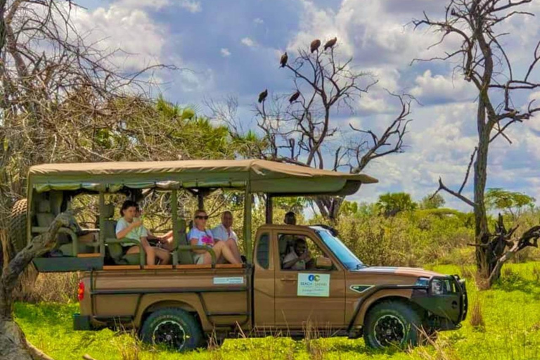 من زنجبار: رحلة سفاري في سيلوس غراي لمدة يومين وليلة واحدة مع رحلات طيرانرحلات سفاري مشتركة مع سيار