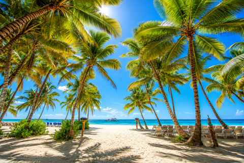 Saona Island: Dominican Culture, Caribbean Flavors and Souvenir
