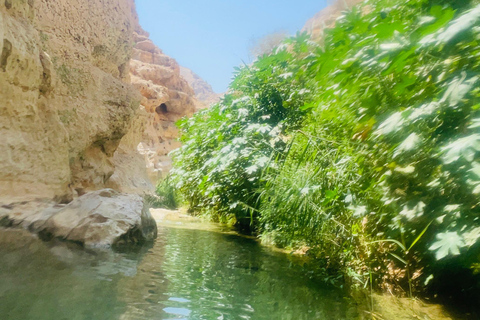 Mascate: tour de día completo por Wadi Shab con servicio de recogida del hotel