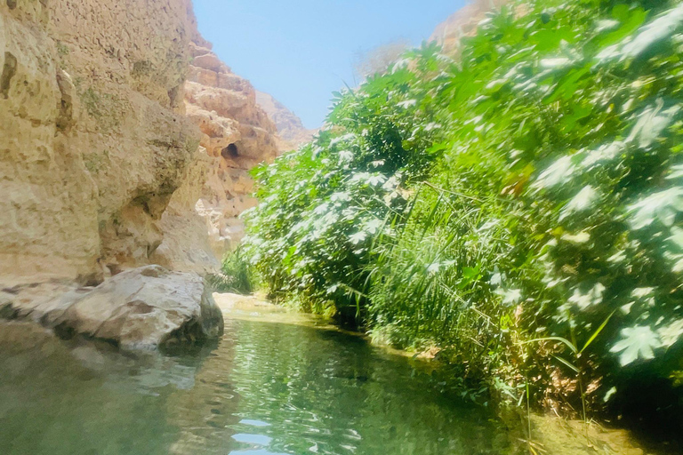 Muscat: całodniowa wycieczka do Wadi Shab z odbiorem z hotelu