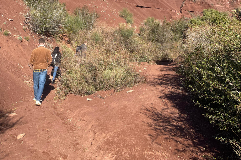 Montpellier: Celles, Capitelles & Local Wine Tasting Tour