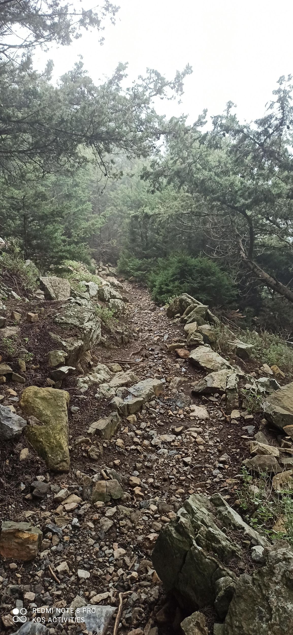 Kos: Moderate Wandertour auf dem Berg Dikaios