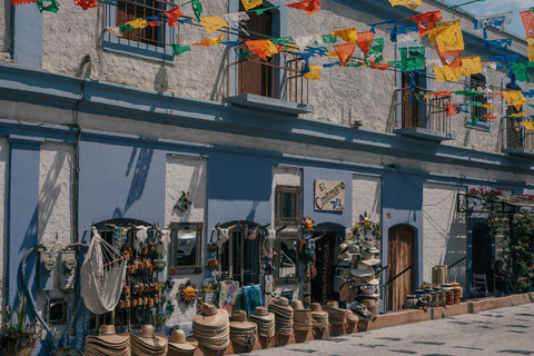 La Paz: Todos Santos Day Trip