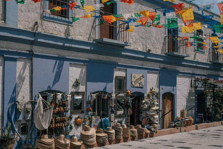 La Paz: Todos Santos Day Trip