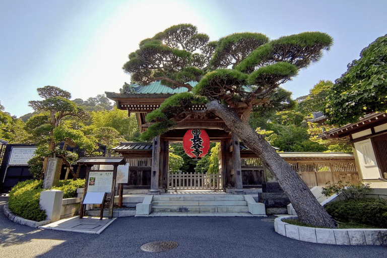 Sacred Kamakura & Yokohama Full-Day Tour with English Guide Kamakura & Yokohama Private Tour With Toyota Welfare Alphad
