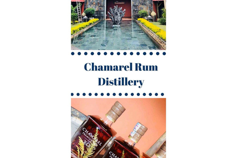 Mauritius South Highlights – Chamarel & Nature Wonders SOUTH GUIDED TOUR STANDARD CAR