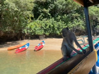 Ko Lanta, Mangrove Kayaking, Ko Talabeng, & Skull Island - Housity