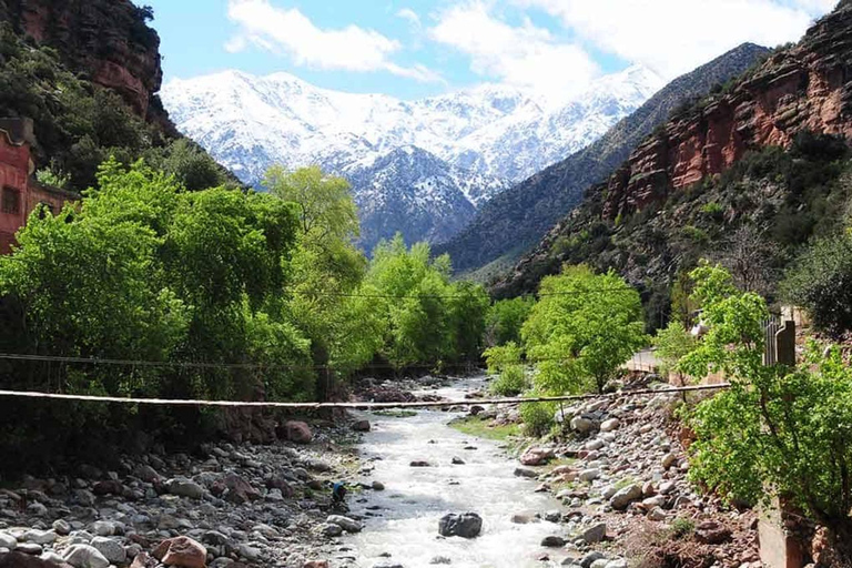 From Marrakech: Ourika Valley Atlas Mountains Day Trip with Lunch Option 3: Shared Group Transport and Local Guide
