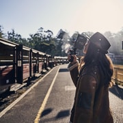 Melbourne: Puffing Billy Railway & Rainforest Tour