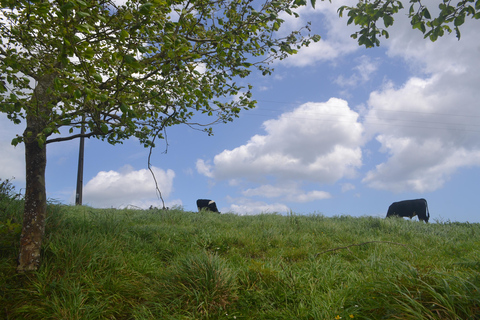Sao Miguel Hike to Janela do Inferno and Lagoa do Fogo