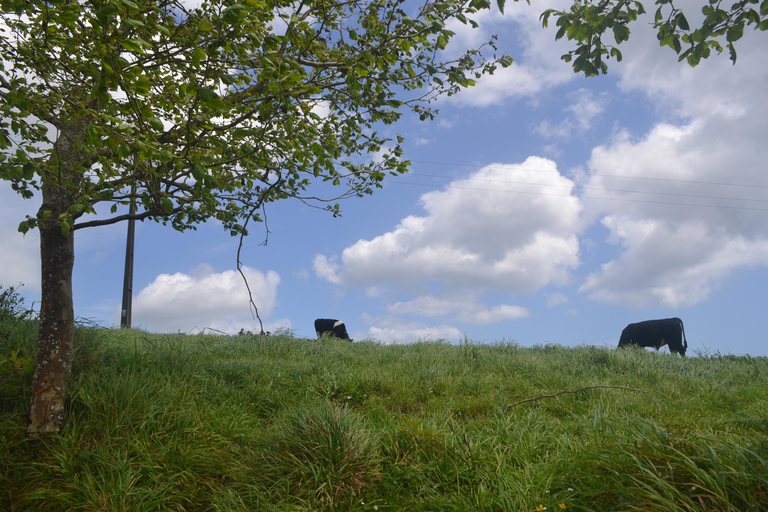 Sao Miguel Hike to Janela do Inferno and Lagoa do Fogo