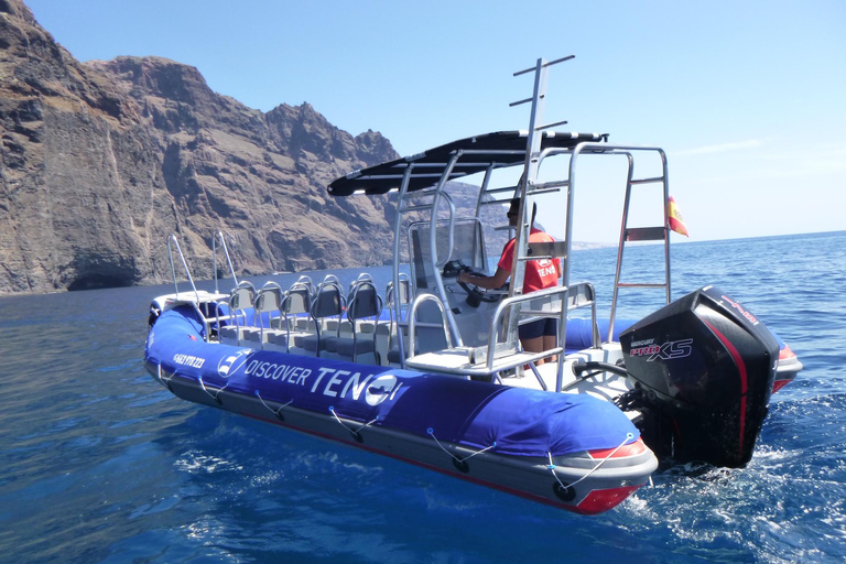 Tenerife : Barranco de Masca: Descida e passeio de barco