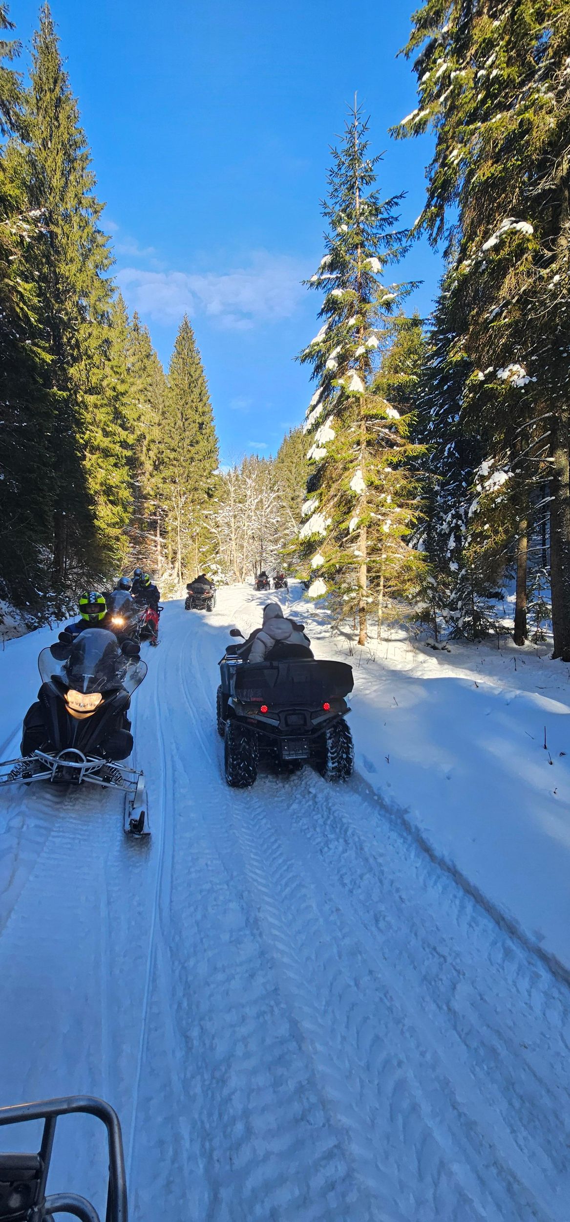 Schneemobil- oder Quad-Tour & Seilbahnfahrt ab Bukarest