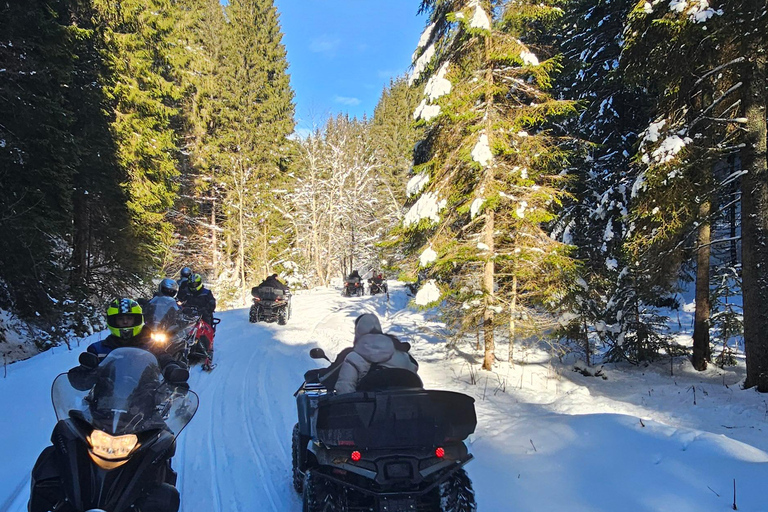 ATV or Snowmobile Mountain Tour from Bucharest