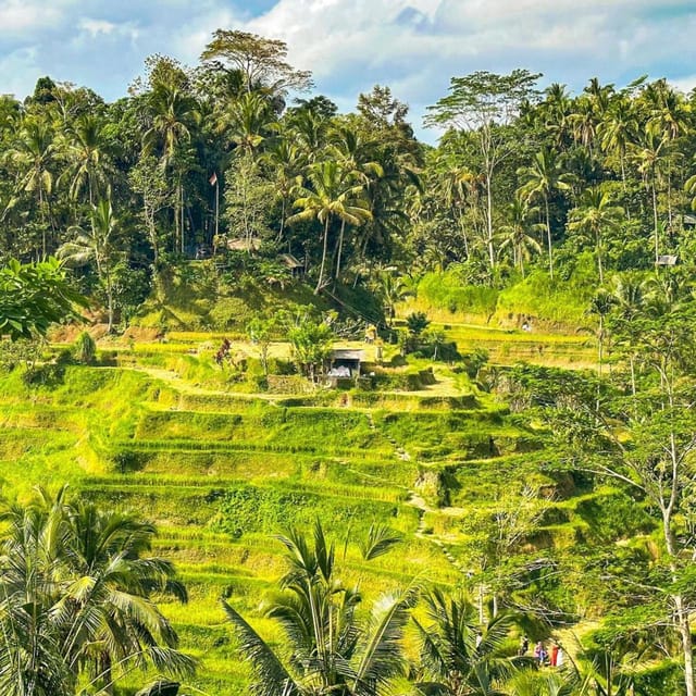 Tur Guide Bali Bali: En İyi Ubud Önemli Noktaları ve Kültürel Özel Tam Günlük Tur ...