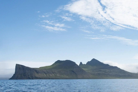 Ísafjörður: Hornstrandir Nature Reserve Guided Hike