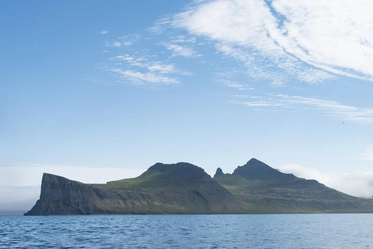 Ísafjörður: Hornstrandir Nature Reserve Guided Hike
