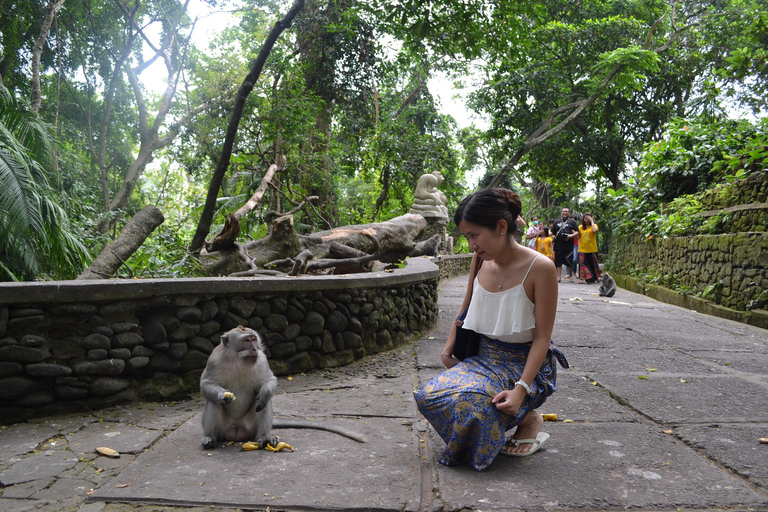 Ubud: tour della foresta delle scimmie, della cascata e delle terrazze di risoEsplorazione: Foresta delle scimmie, cascata e terrazza di riso