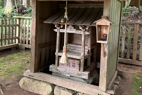 From Nara: Kyoto Thatched Roof Village Private Car Tour