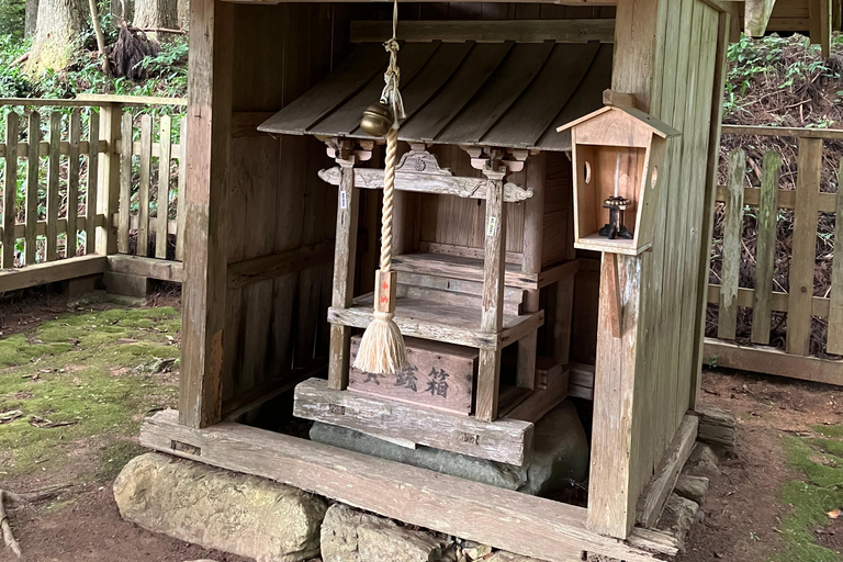 De Nara: Visita de carro particular à aldeia de telhado de colmo em Quioto