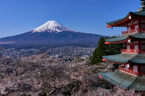 東京日帰り旅行 - 東京発富士山プライベートツアー