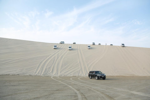 Desert Safari Qatar Camel Sandbording sunrise/sunset tour