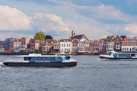 Passeio de um dia com guia particular em Roterdã e Dordrecht