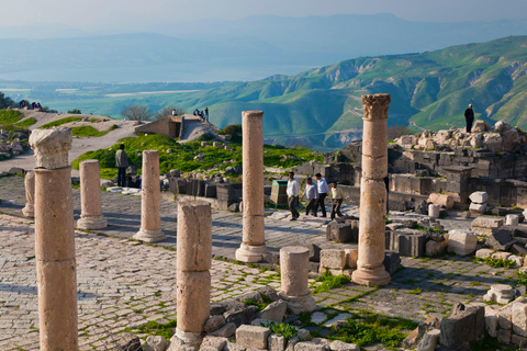 Private or Group: Jerash, Ajloun Castle & Umm Qais day Tour Sharing/Group: Jerash, Ajloun &Umm Qais (10 H)
