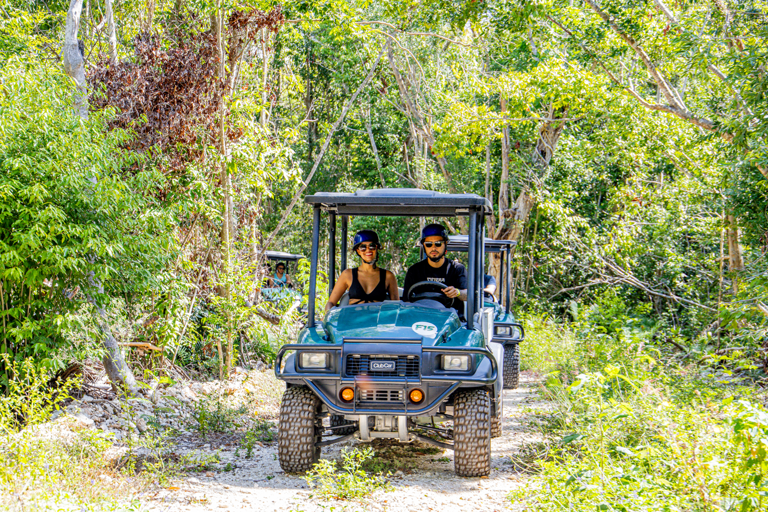 Tour combinato di un giorno con arte e foresta