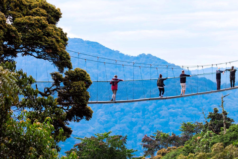 Kigali: Nyungwe Canopy Walk and Zipline Adventure with Lunch