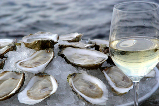 Pelješac Wine & Oyster Tasting Private Tour