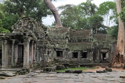 Angkor Wat tempel tur med bil med valfri soluppgångAngkor Wat tempeltur med valfri soluppgång