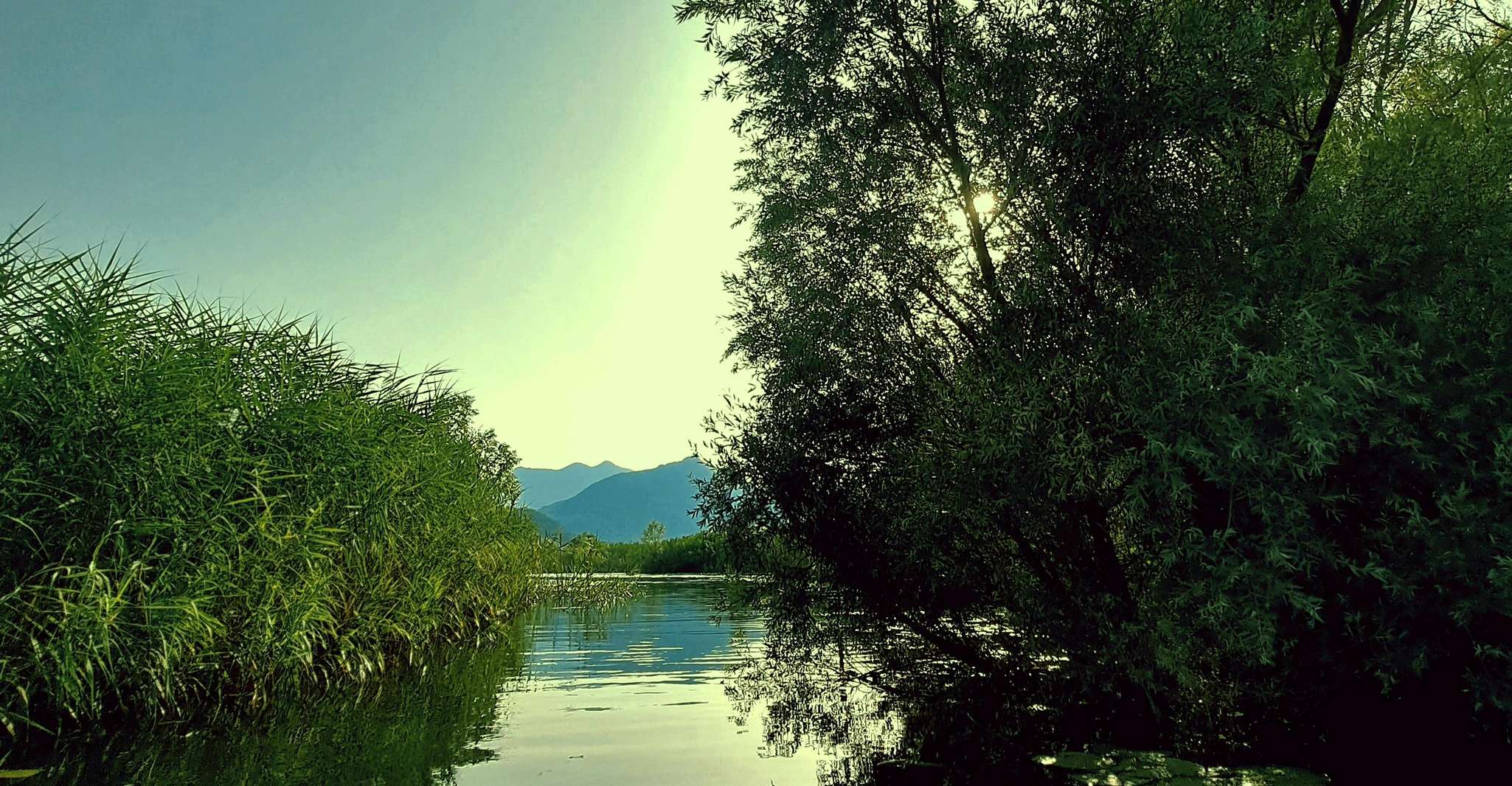 Kayak Adventure, Paddle your way through Lake Skadar - Housity