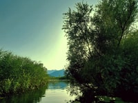 Kayak Adventure, Paddle your way through Lake Skadar - Housity