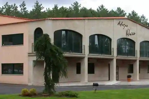 Visit to the Adegas Valmiñor winery and tasting