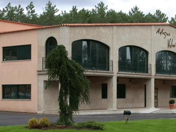 Visit to the Adegas Valmiñor winery and tasting