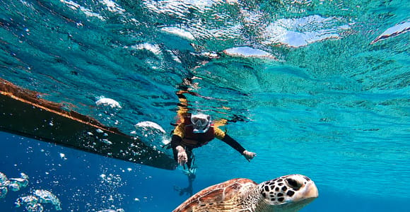 Gili Islands: Private or Shared Snorkeling Boat Trip