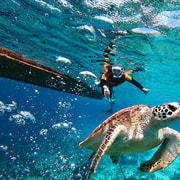 Gili Islands: Private or Shared Snorkeling Boat Trip