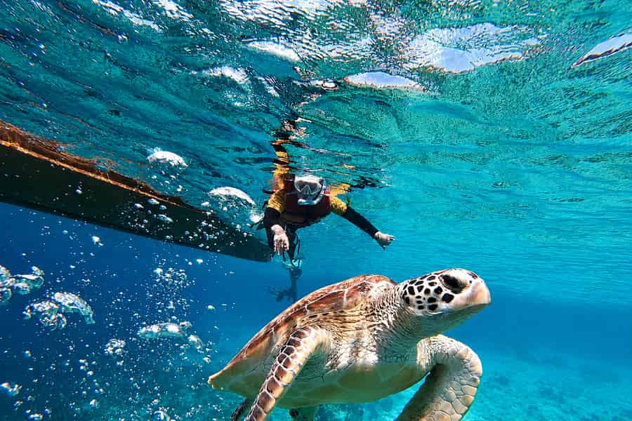 Gili Inseln: Privater oder gemeinsamer Schnorchelausflug mit dem Boot. Foto: GetYourGuide Gili Inseln: Privater oder gemeinsamer Schnorchelausflug mit dem Boot. Foto: GetYourGuide