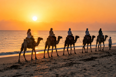 Dakhla: Sunset Camel Ride with Mint Tea and Photos