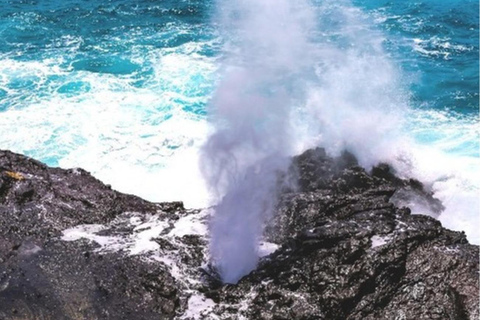 Hawái: recorrido turístico y gastronómico combinado por la isla de OahuHawai : Combo turístico y gastronómico de la isla de Oahu