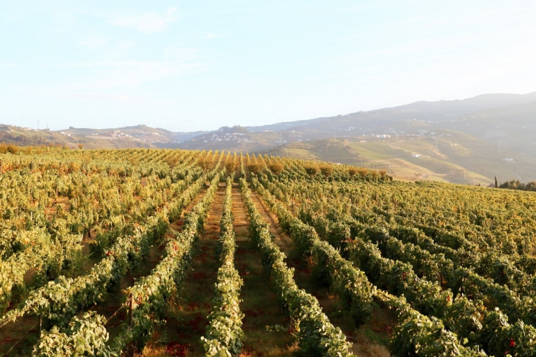 Oporto: valle del Duero con cata de vino, crucero y almuerzoTour grupal en inglés con recogida