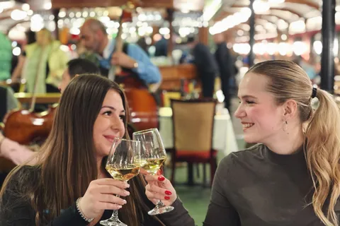 Budapest : Croisière vin et dîner sur le Danube